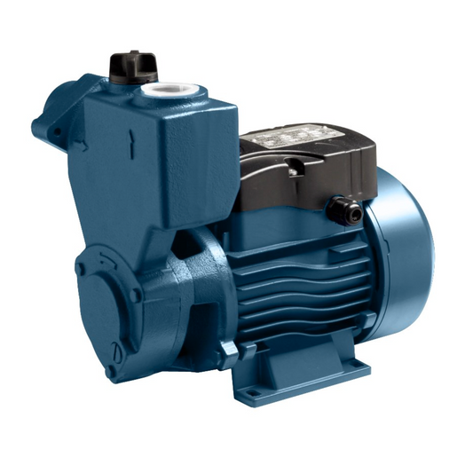 Self-priming peripheral electric pump