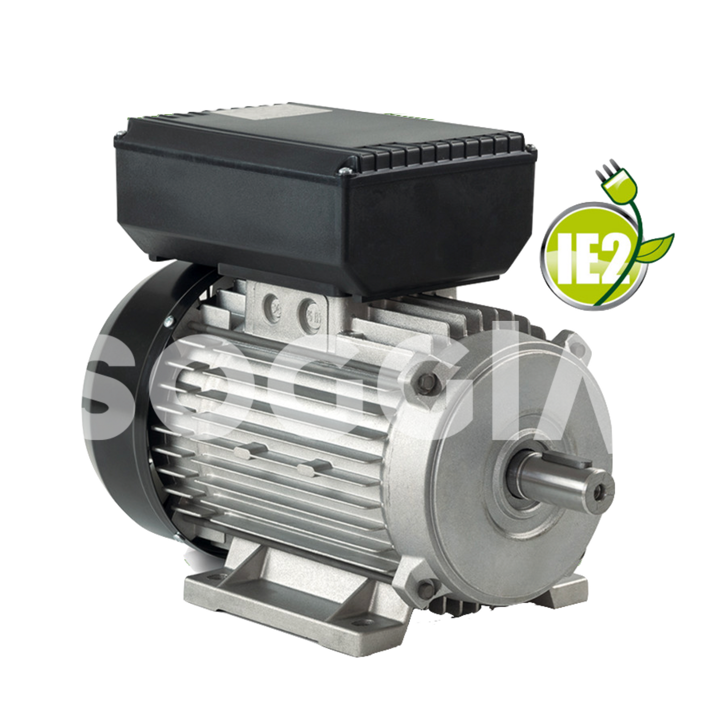 Single-phase 2-pole AC low voltage induction IEC motors